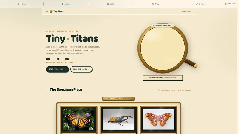 Tiny Titans, a bug museum with real specimens